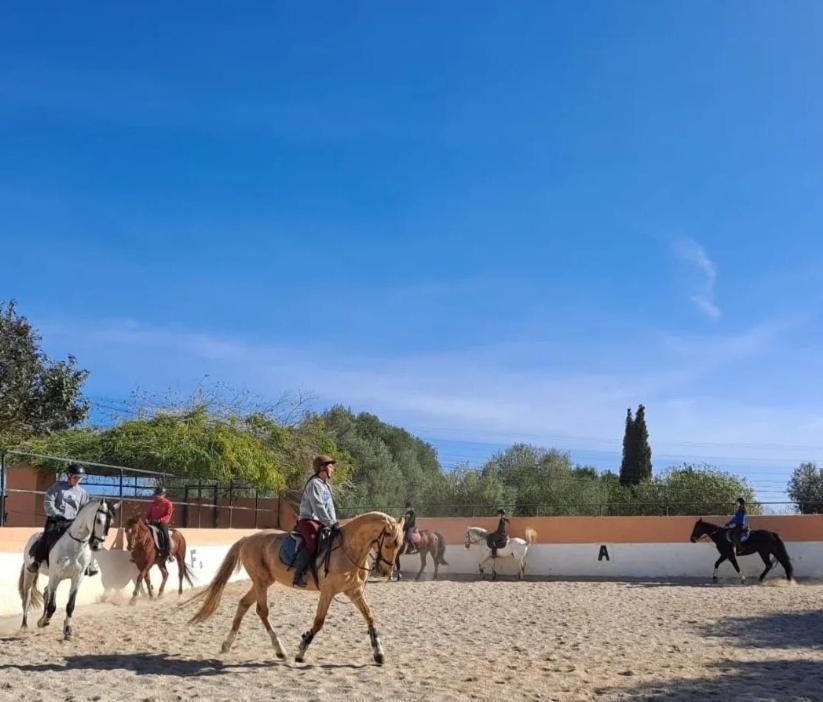 Villa Sa Sort *